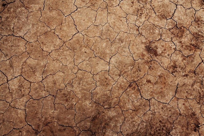 Cracked Soil